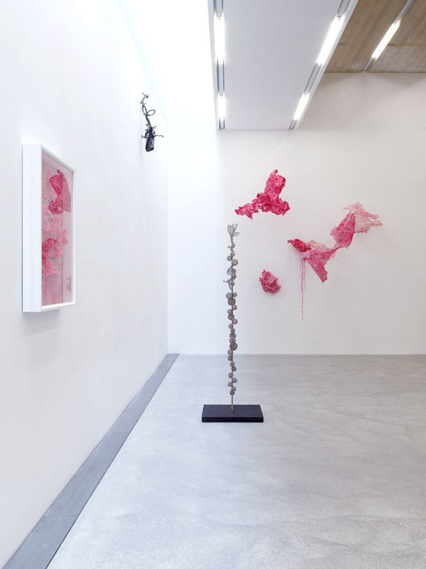 Новая выставка Aljoscha в галерее Maximilian Hutz