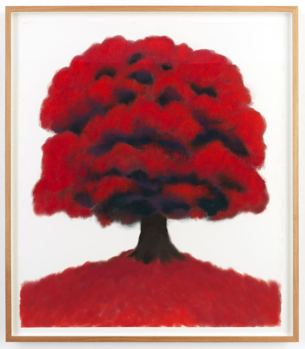 David Nash red tree 2023 pigment on paper Annely Juda Fine art