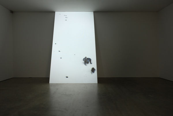 Wg Adol Inst10 03 300