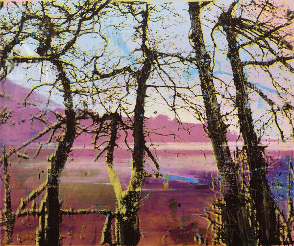 ELIZABETH MAGILL - Headland