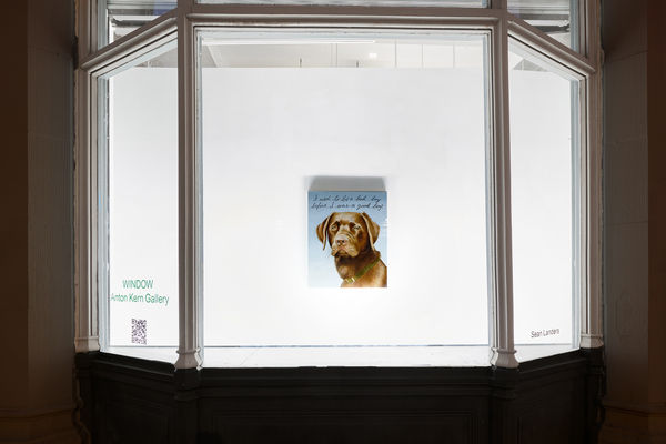 Installation view of Lafayette WINDOW side.