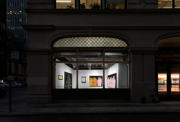Installation view of the 2023 exhibition “Andrew Sim at WINDOW” with exterior view of walls, artworks and ceiling.