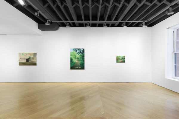 Silva Floor 03 Floor 01