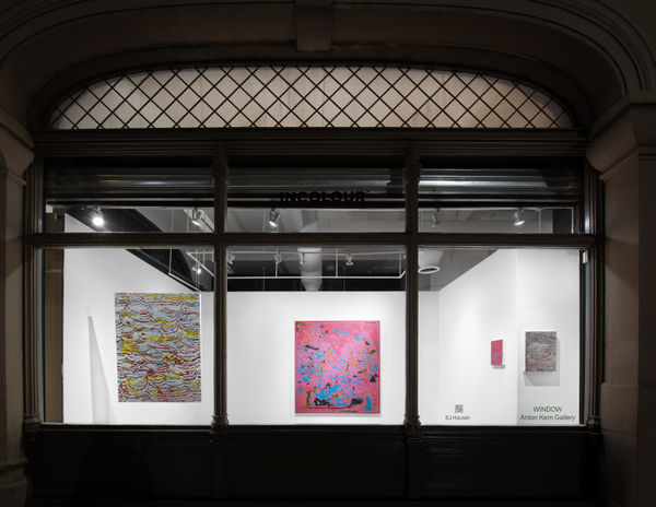 Promotional image for EJ Hauser's show at Window - Anton Kern Gallery