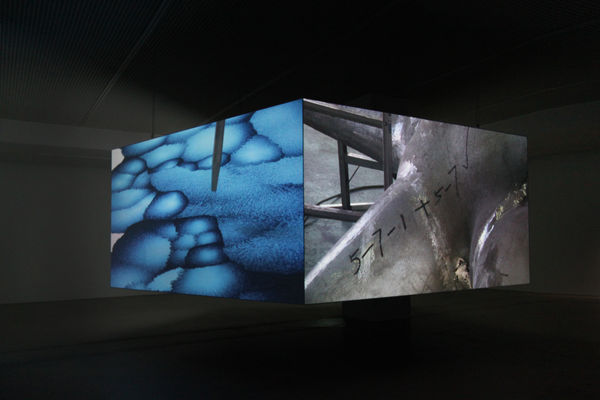 Installation View 6