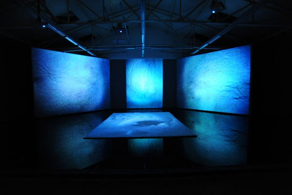 WANG Jianwei & Nalini MALANI: Himalayas Project