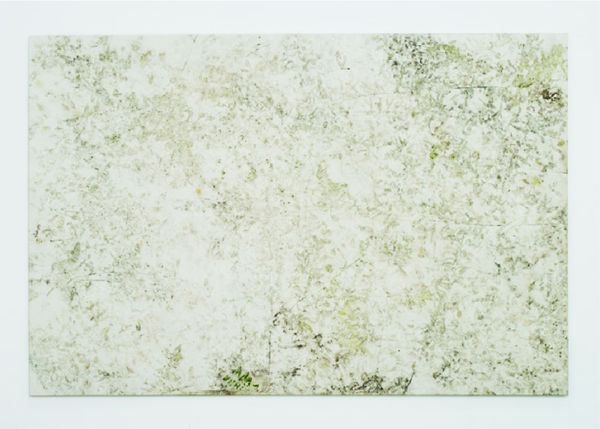 Karin Sander Postcard