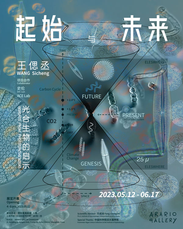 WANG Sicheng: [Genesis and Future: Insights from Photosynthesizers]