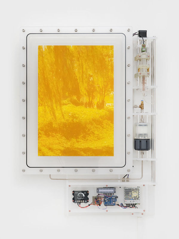 A Show Highlighting Emerging Korean Artists Probes Diasporic Tensions