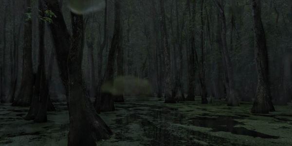"Cypress Swamp," Middle Mississippi, 2014 Jeanine Michna-Bales