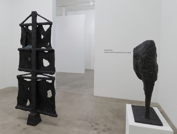 20200102 Dianerosenstein0983