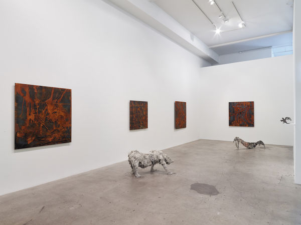 Transfigured Install View 11