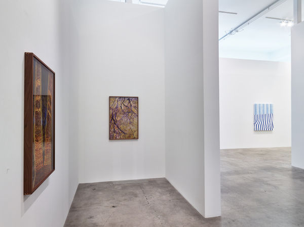 Transfigured Install View 20