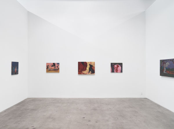 Ajerman Install View 02