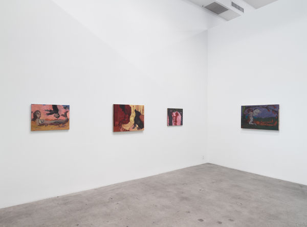 Ajerman Install View 03