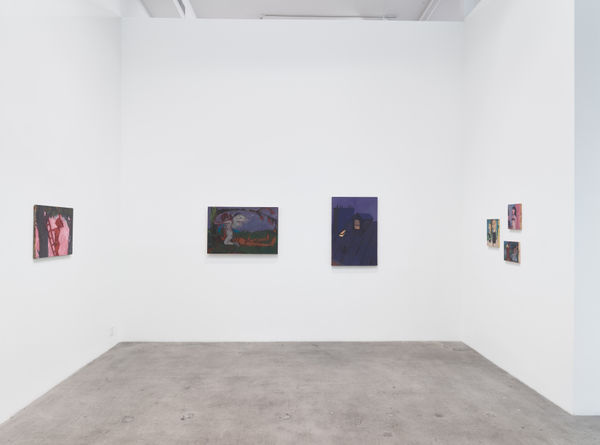 Ajerman Install View 05