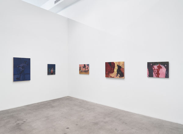 Ajerman Install View 11