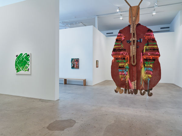 Drfa The New New Installation View 13