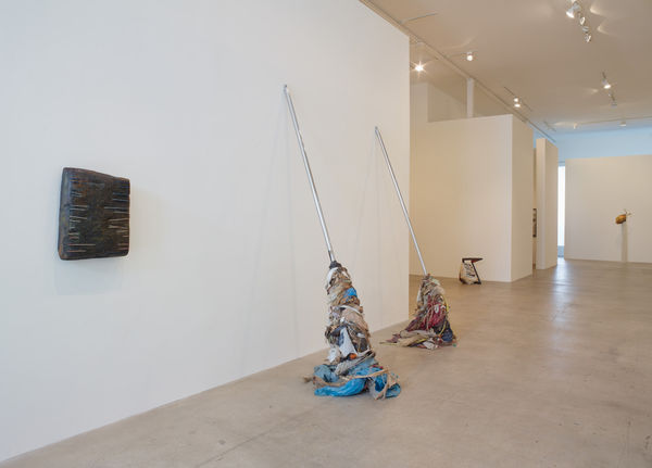 Drfa Eben Goff Inclusions Installation View 13