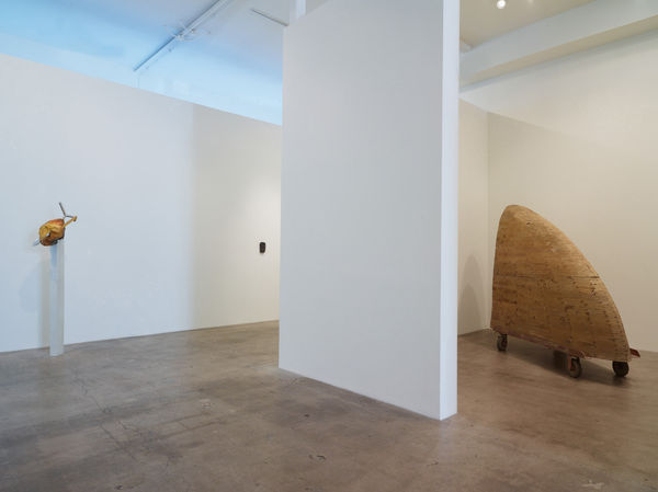 Drfa Eben Goff Inclusions Installation View 3