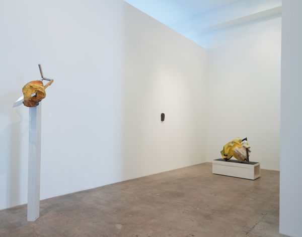 Drfa Eben Goff Inclusions Installation View 5