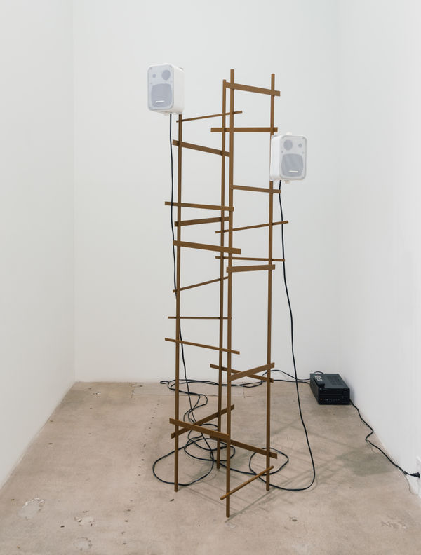 Drfa Dschafer Models Of Disorder Installation16 Web