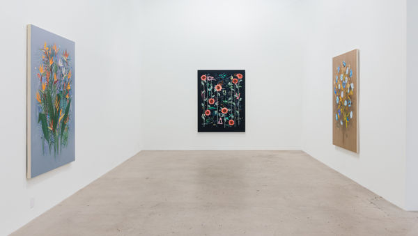 Drfa Rreiss Webpreviews 10