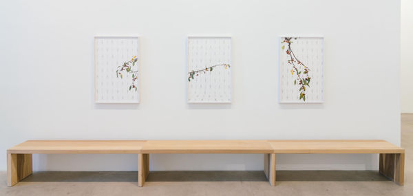 Drfa Hummel Installation20 Web