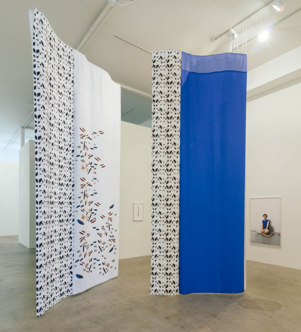 Drfa Hummel Installation38 Web