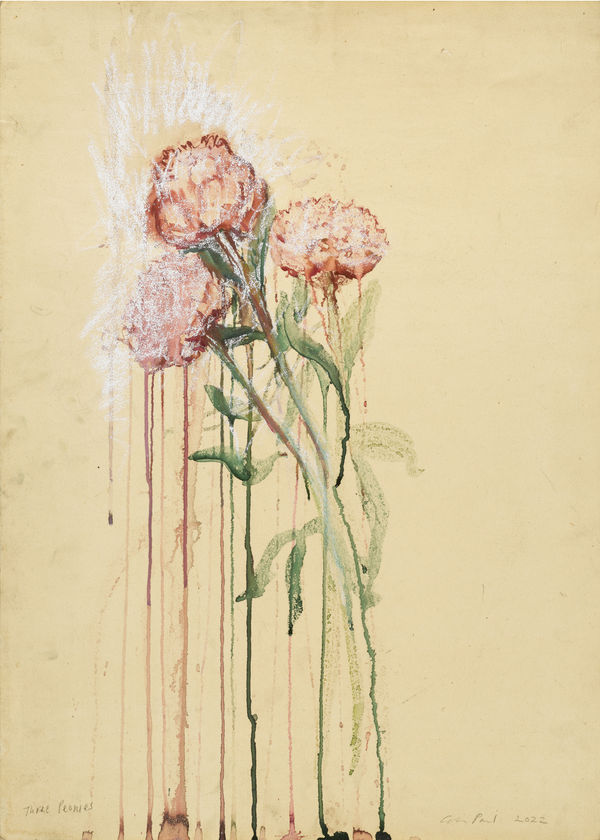 Cp520 Three Peonies 2022 Edge