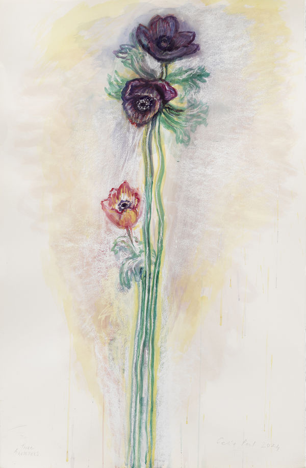 Cp524 Three Anemones 2024 Edge