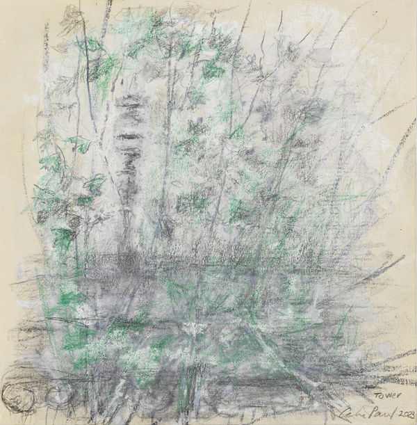 Cp554 Tower 2023 Edge