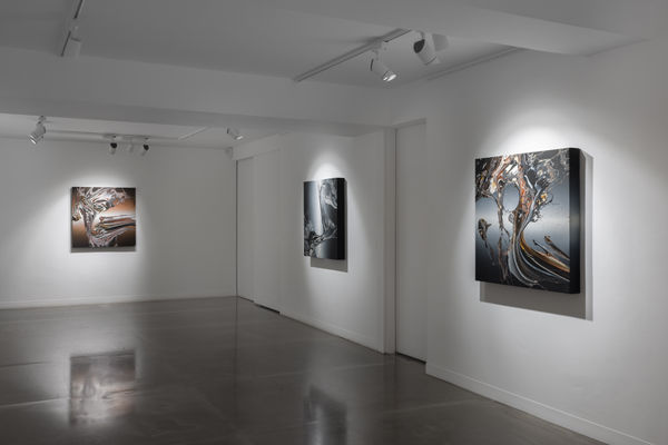 J D Malat 8 October 2024 High Res 15