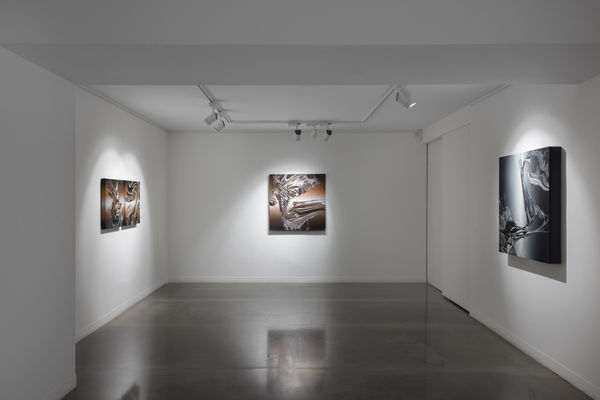 Katrin Fridriks: STARGATE