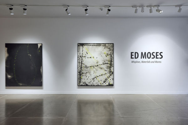 ‘Whiplines, Waterfalls and Worms’, Ed Moses