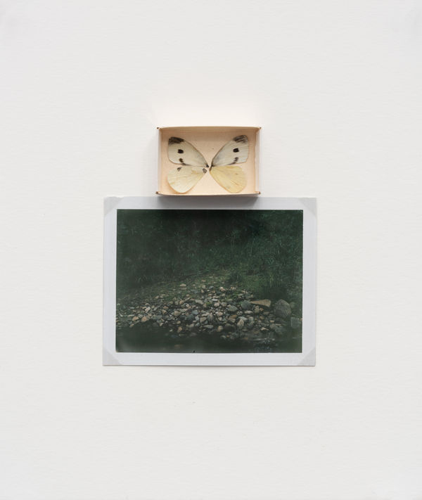 Sean McFarland alluvial fan, strange attractor (butterfly and creek) Match box, inkjet print, dye diffusion transfer print, gold tape 2009-2023 8.5 x 10"