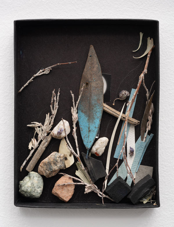 Sean McFarland alluvial fan, strange attractor (feel the breeze, remember the breeze) Box, found desert plants and flowers, found rocks, inkjet, gold tape, silver gelatin print, watercolor, cyanotype, plexiglass 2014-2023 4.25 x 5.5" Unique