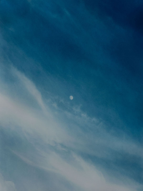 Untitled (4.5 billion years a lifetime, clouds #3)​, 2019 cyanotype 21 x 28 inches edition 1/5 + 2AP