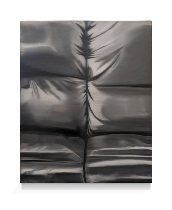 Dan Davis Belly Oil on canvas 2023 44 x 36”