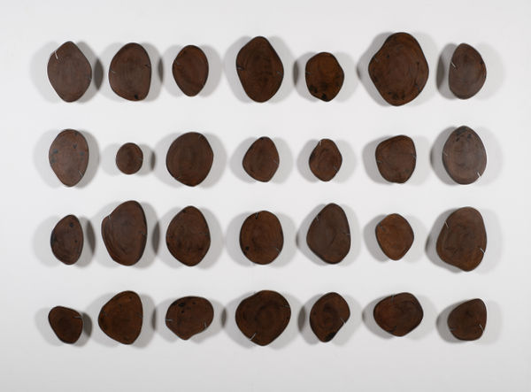 Carolina Sardi: Whispers of Nature