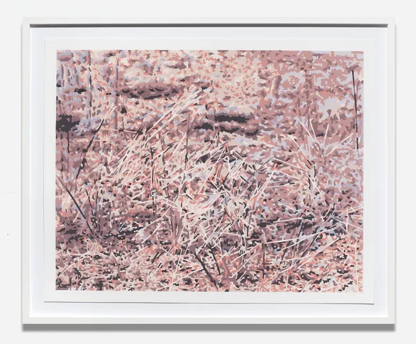 Jim Richard, Outskirts: Brown in Bloom, 2024