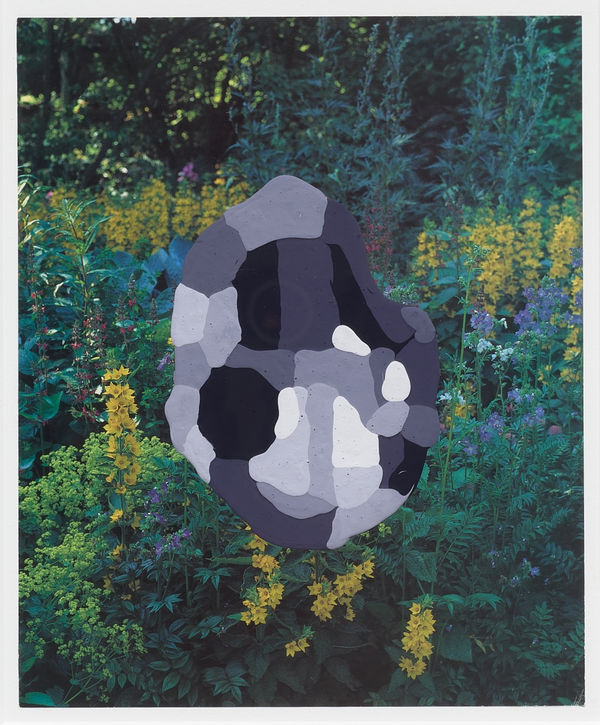 Jim Richard, Mellow Modern, 2016