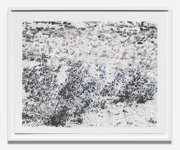 Jim Richard, Outskirts: Blue in Bloom, 2024