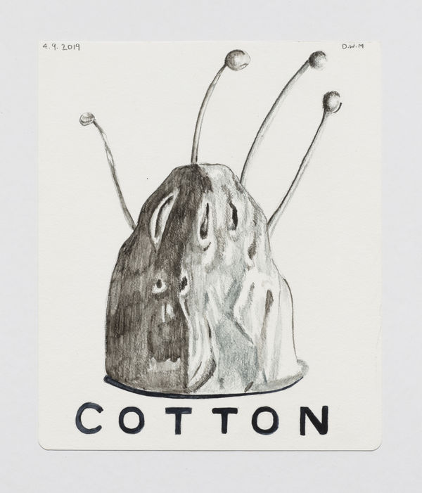 David McGee, COTTON, 2019