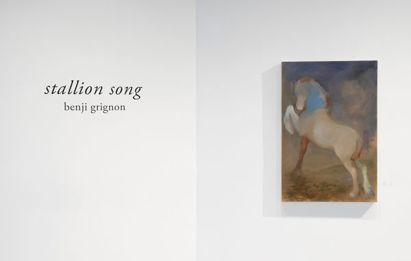 Grignon Stallion Install 1 1