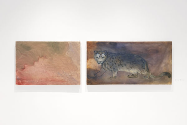 Grignon Stallion Install 10 1