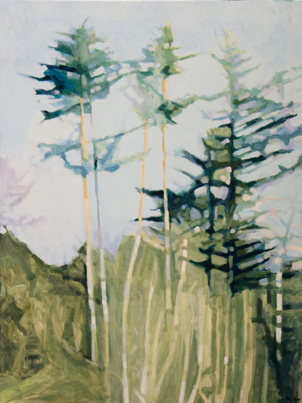 Lizhoag Summerview 48X36 Ac Copy