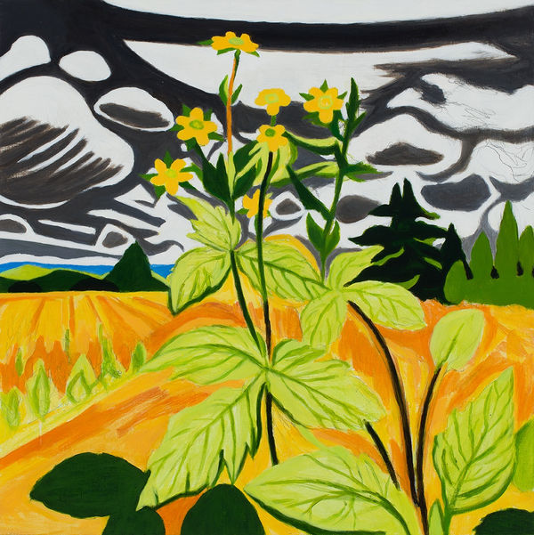 Knight Yellow Avens 18X18 A C