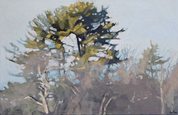 Hoag Beach Undergrowth