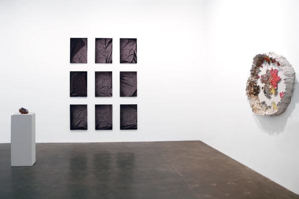 Installation view from "Night, Shortly" at Susan Inglett Gallery